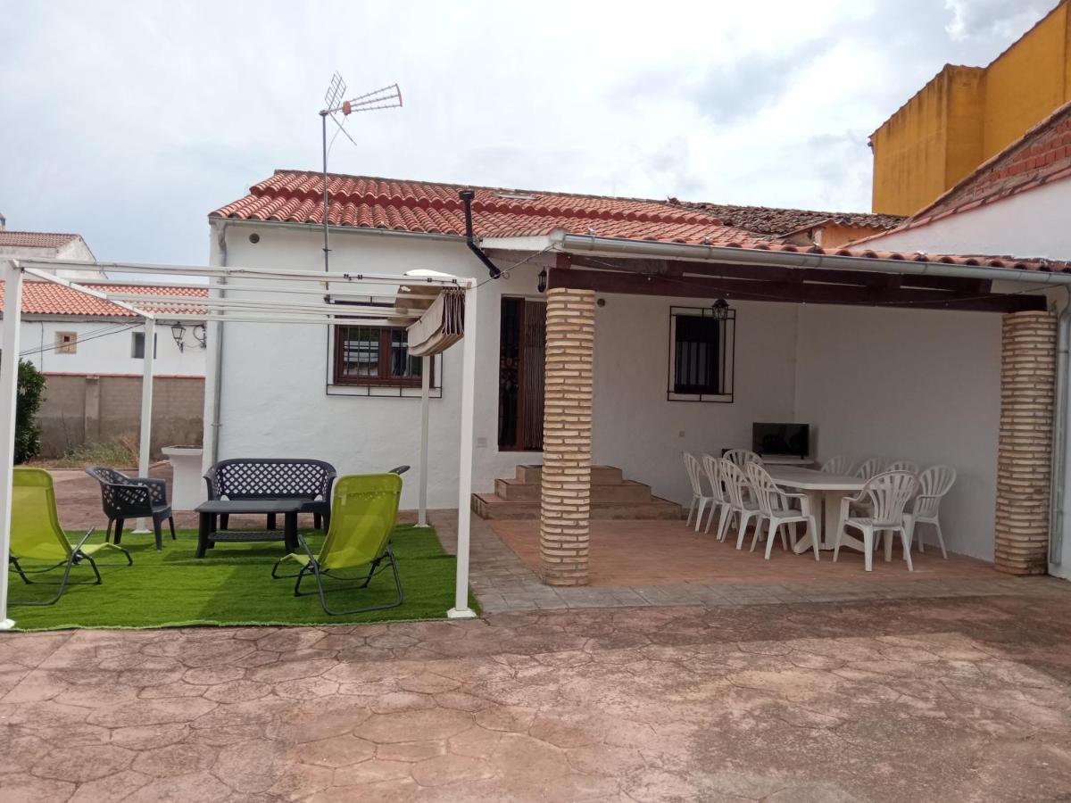 Labrador A 9k De Monfraguee Torrejón el Rubio