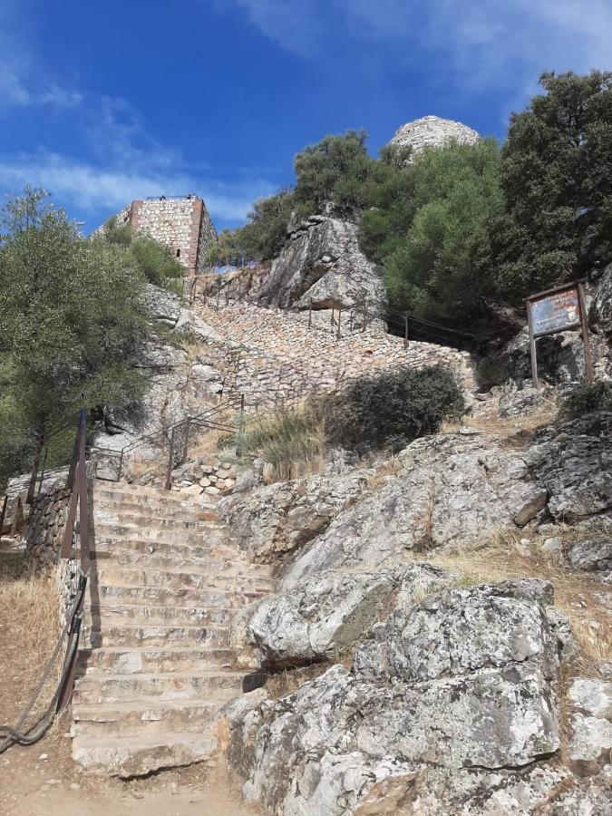Labrador A 9k De Monfraguee Hébergement de vacances