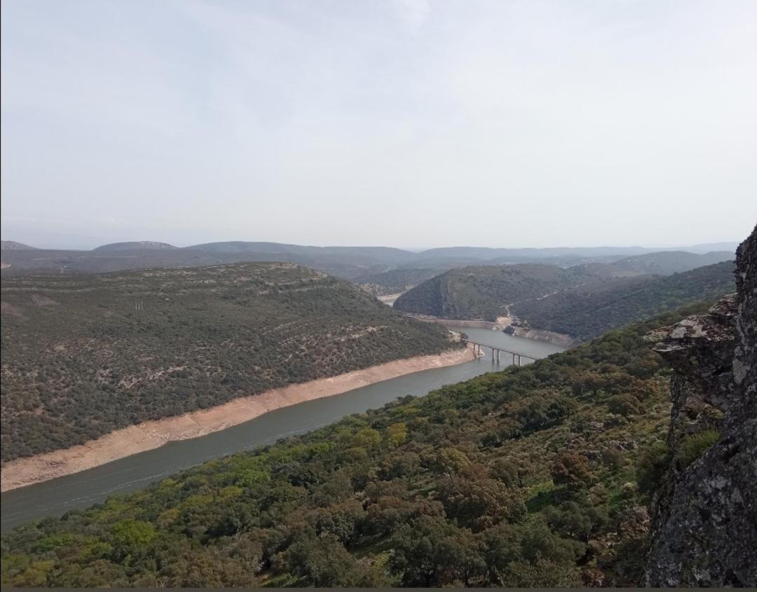 Labrador A 9k De Monfraguee Torrejón el Rubio